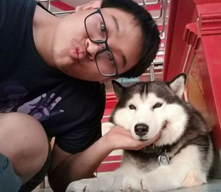 «Сторожевая собака» провалила проверку во время инсценировки налета на хозяйский магазин — видео повеселило сеть