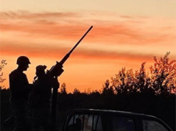 Важка артилерія не врятує: у Forbes пояснили, чим Європа має збивати російські БпЛА