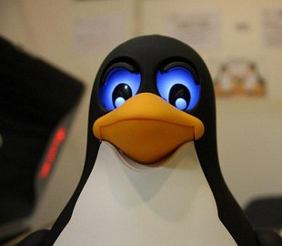 Дыра в ОС на базе Linux оставила беззащитными миллионы роутеров Asus, D-Link и Linksys
