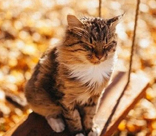 Тепло та місцями опади: якою буде погода в Україні на вихідні