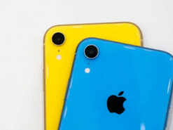 Самые популярные смартфоны 2019 года