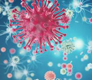 Появился еще один вариант «омикрона»: насколько он опасен