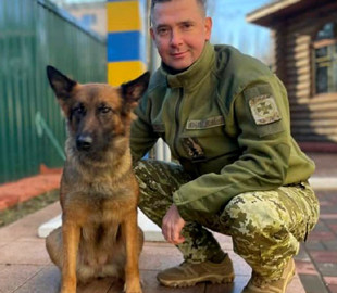 Знает, чей Крым: собака-пограничник из Украины набирает миллионы просмотров в TikTok