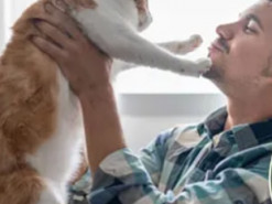 Чому ми любимо котів, а коти люблять нас: відповідь учених