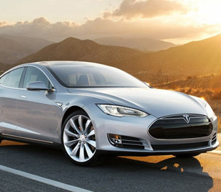 Автономность Tesla Model S улучшили благодаря анатомии живых организмов