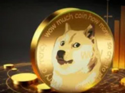 Ілон Маск більше не впливає на зростання криптовалюти Dogecoin