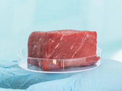 Кухня перетвориться на лабораторію: виростити штучне м'ясо вдома зможе кожен