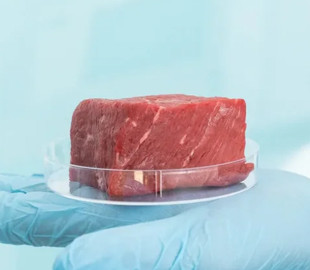 Кухня перетвориться на лабораторію: виростити штучне м'ясо вдома зможе кожен