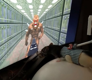 VR для всех. Инженер научил трех крыс играть в Doom ради вкусной еды