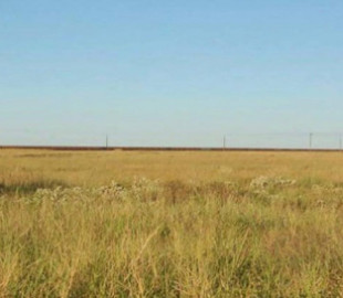 Сотні вагонів і кілька локомотивів: що відомо про найдовший поїзд з Книги рекордів Гіннеса