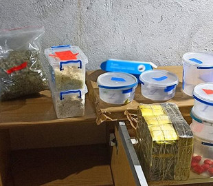 Поліцейські вилучили у тернополянина наркотиків на 800 тисяч гривень