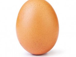 У самого популярного в мире яйца появился конкурент