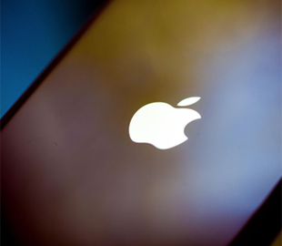 У "Борисполі" митники вилучили партію девайсів Apple на півмільйона гривень
