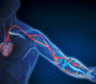 Учёные создали графеновое «тату», которое позволит долго и скрыто отслеживать артериальное давление