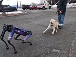 Собака-робот буде відлякувати тварин від злітної смуги аеропорту