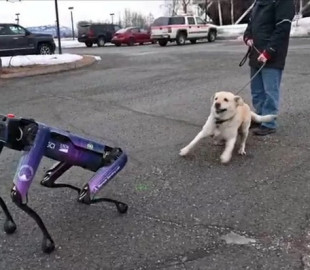 Собака-робот буде відлякувати тварин від злітної смуги аеропорту
