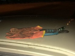 У Запоріжжі озброєні злочинці намагалися пограбувати "Укртелеком"