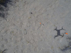 Исследователи научили дроны находить метеориты