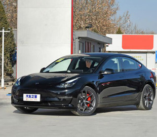 Дві моделі Tesla отримають китайські двигуни