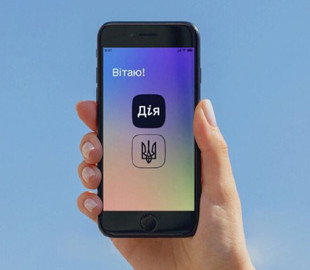 У «Дії» знову запрацювала послуга з оформлення витягу про несудимість