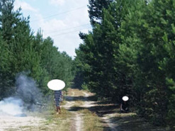 У лісосмузі біля Славути «на гарячому» застали паліїв кабелю