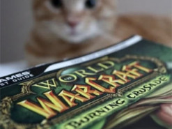 Гравці World of Warcraft влаштували бойкот Blizzard: скандал набирає обертів