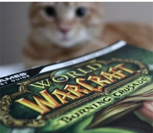 Гравці World of Warcraft влаштували бойкот Blizzard: скандал набирає обертів