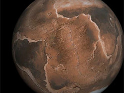 Штучний інтелект спрогнозував дату загибелі людства