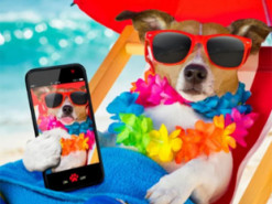 Як швидко охолодити смартфон у спеку і не зламати його: лайфхак на літо