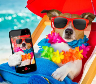 Як швидко охолодити смартфон у спеку і не зламати його: лайфхак на літо