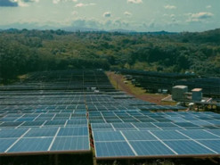 Історичний момент: поновлювані джерела вперше дали більше енергії, ніж вугілля