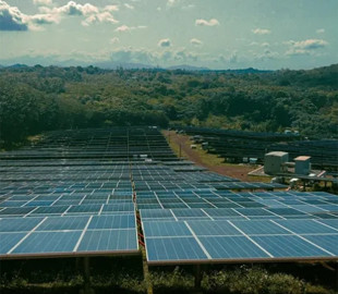 Історичний момент: поновлювані джерела вперше дали більше енергії, ніж вугілля
