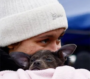 Біженці у Великій Британії ризикують опинитися на вулиці: чому виселяють українців через півроку проживання