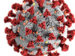 Пользователи изучают COVID-19 почти со скоростью суперкомпьютера 2023 года