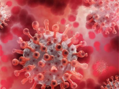 В Україні виявили новий різновид штаму "Омікрон"