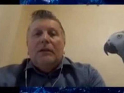 Папуга пробрався в ефір одеського каналу та став зіркою інтернету: курйозне відео