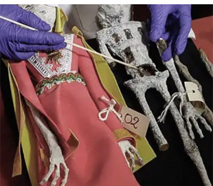 Експерти з'ясували, з чого складаються «інопланетні мумії», знайдені у пустелі Наска