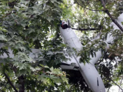 КНДР звинувачує Південну Корею у шпигунстві через безпілотники над Пхеньяном
