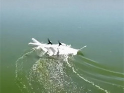 Такого ще не було: в Туреччині створили унікальний дрон-екраноплан