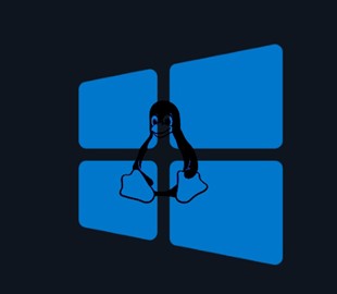 Linux не видит windows