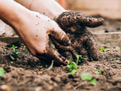 Як покращити психічне здоров'я: науковці знайшли простий та доступний спосіб