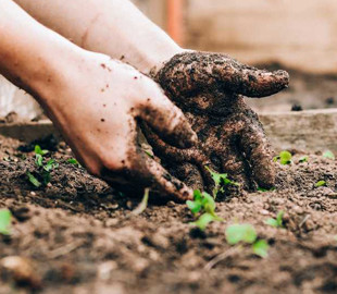 Як покращити психічне здоров'я: науковці знайшли простий та доступний спосіб