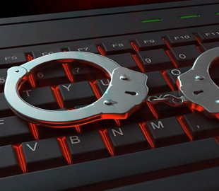 Полицейские разоблачили несовершеннолетнего куратора «группы смерти» в сети