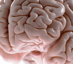 Стає все страшніше. Neuralink готовий довірити роботам імплантувати свої чіпи в мозок людей