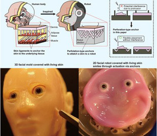 Японські вчені створили шкіру обличчя для роботів, що схожа на людську