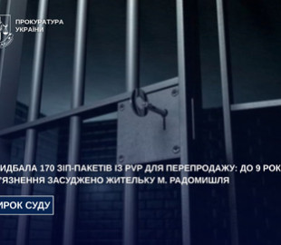 Дані у смартфоні коштували дилерці з Радомишля 9 років тюрми