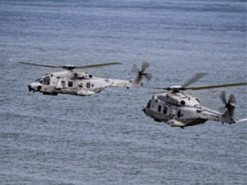 Розкриті технічні характеристики німецьких бойових гелікоптерів Sea Tiger