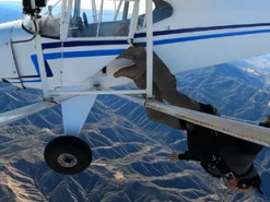 Суд у США засудив до 6 місяців ув'язнення блогера, який навмисне розбив літак заради грошей і переглядів