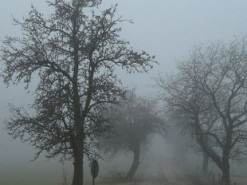У Києві та області очікуються небезпечні погодні умови