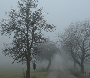 У Києві та області очікуються небезпечні погодні умови